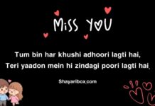 Miss You Shayari In English Miss You Shayari In English